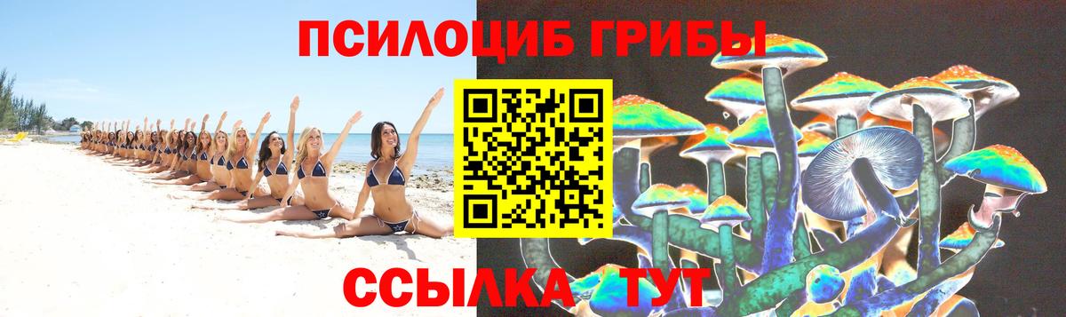 Галлюциногенные грибы Cubensis  Вход с VPN  Аксай 